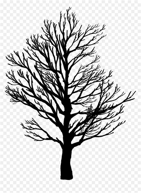 Barren Tree Silhouette - Draw A Tree In Winter, HD Png Download - vhv