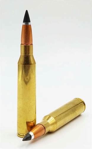 Armor Piercing Rounds | Tungsten Bullets