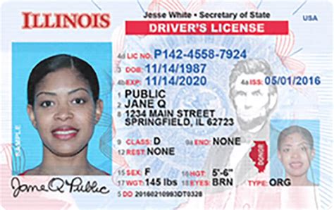 How to Get a Driver's License in Illinois [2024]