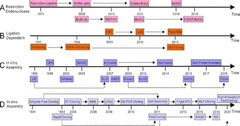 A timeline of molecular cloning techniques. The available cloning... | Download Scientific Diagram