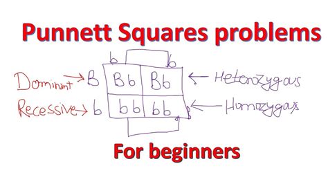 Punnett square problems-part 1 | Punnett square dihybrid cross| Homozygous Heterozygous ...