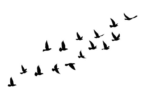 Flying birds silhouettes on white background. Vector illustration ...