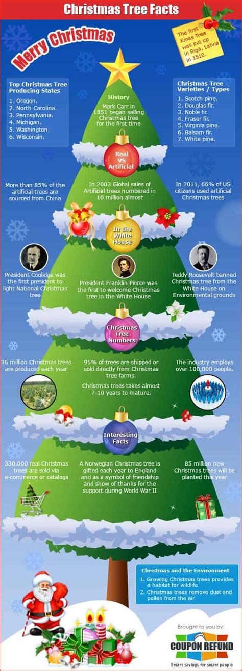 Christmas Tree Facts | Daily Infographic