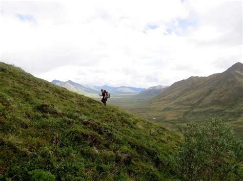 Hiking in Tombstone Territorial Park, Yukon Territory