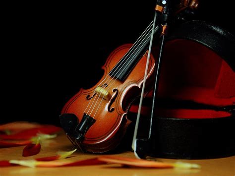 Violin Wallpapers - Wallpaper Cave