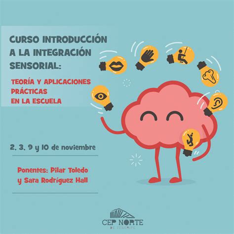 Curso: Introducción a la integración sensorial: teoría y aplicaciones ...