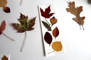 Pressed Leaf Bookmarks for Fall - Aberle Home