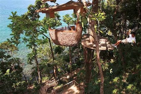 Thailand Hotels and Restaurants: Try A High-Wire Treetop Fine Dining ...