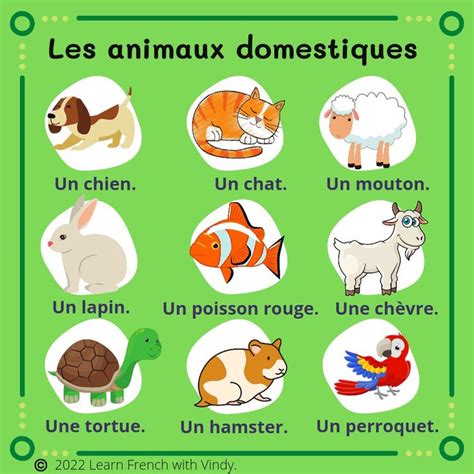 Les animaux domestiques - The domestic animals.🐕🐈🐠 | Lecture en maternelle, Animaux domestiques ...