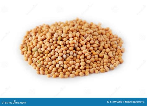 Organic Yellow Mustard Seeds Stock Image - Image of mustard, organic ...