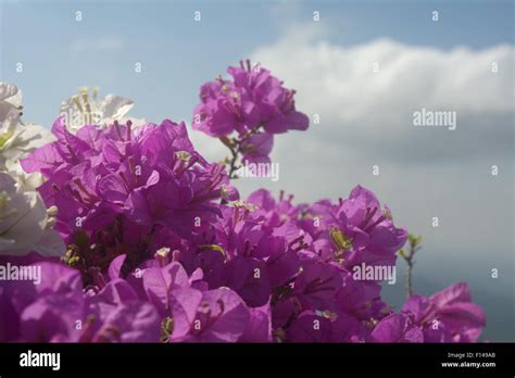 Nice clody hi-res stock photography and images - Alamy