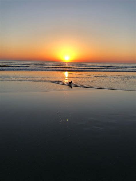 10 TOP Things to Do in Daytona Beach Shores, FL (2021 Attraction & Activity Guide) | Expedia