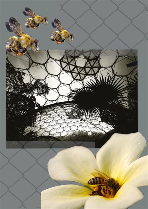 KAROLINA KORONKIEWICZ "Dreams of Natural Surroundings": WALLPAPER DESIGN - CONCEPT BOARD