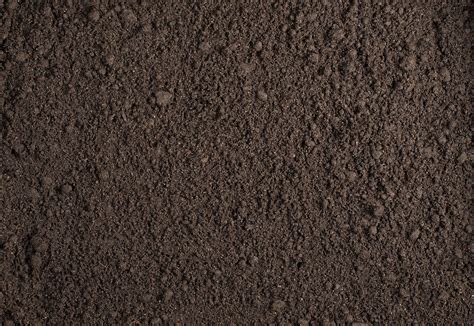 Download Dirt Background 2550 X 1757 | Wallpapers.com