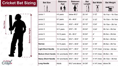 Cricket Bat Size Guide: How to Choose a Cricket Bat - Its Only Cricket (2022)