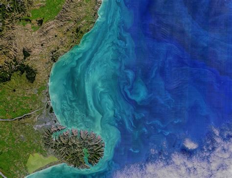 Satellite Images of Phytoplankton Blooms in Earth’s Oceans