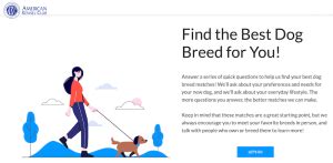 8 Dog Breed Selector Tools For Find Your Perfect Dog!