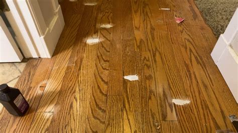 Hardwood Floor Water Damage Repair – Flooring Tips