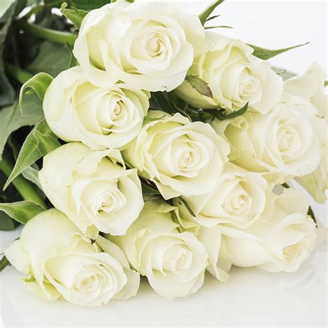 White ROSE BOUQUET