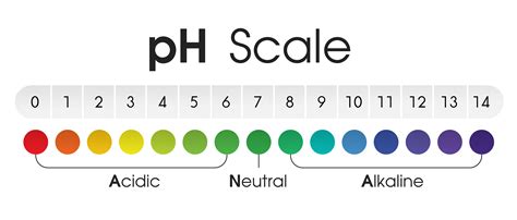 Acid Ph Level Chart