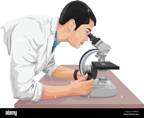 Vector illustration of a scientist looking through microscope at laboratory Stock Vector Image ...