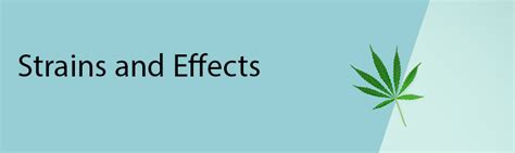 Strains and Effects - THC Label Solutions