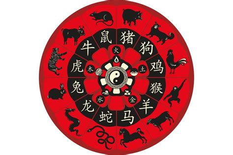 Los signos del zodiaco chino – Todos los Horóscopos