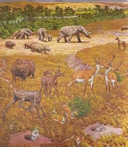 Part III: Pliocene Epoch – The History of Our Tribe: Hominini