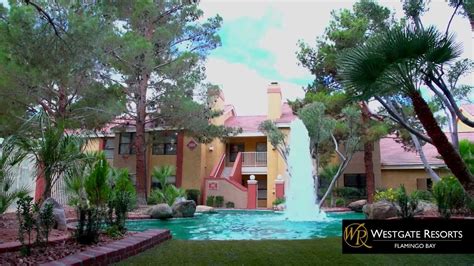 Westgate Flamingo Bay Resort in Las Vegas, NV - YouTube