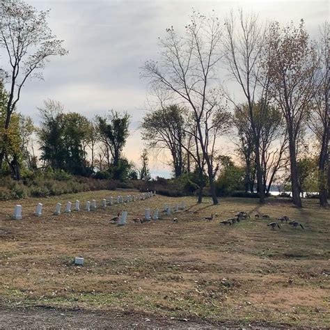 City Cemetery on Hart Island – NYC LGBT Historic Sites Project