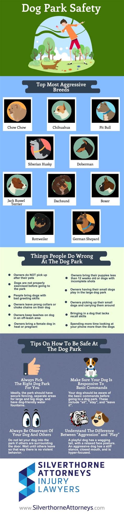 Dog Park Safety Infographic | Silverthorne Attorneys