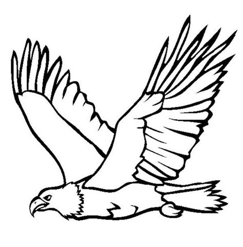 Eagle Line Drawing - ClipArt Best