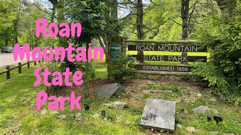 Roan Mountain State Park – DeanoRolls (@deanoroll5)