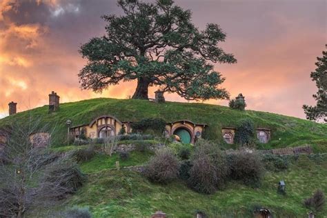 Hobbiton Movie Set Tour From Auckland: Triphobo