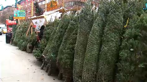 Buying your Christmas tree on the street? Prices may vary - ABC7 New York