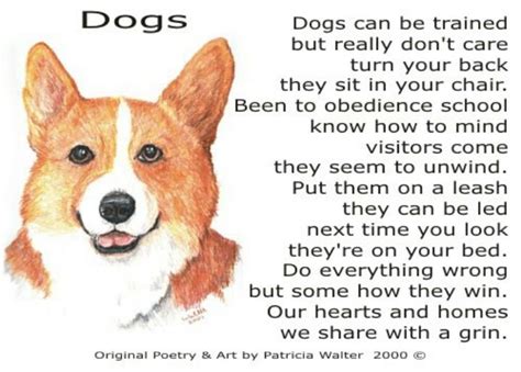 Pin by Sarah Valentine on Animals! | Dog poetry, Dogs, Dog poems