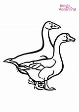 Easy Printable Goose Coloring Pages For Kids sketch template