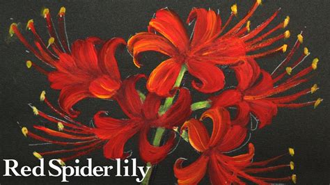 Red spider lily painting ( in 3 minutes ) - YouTube