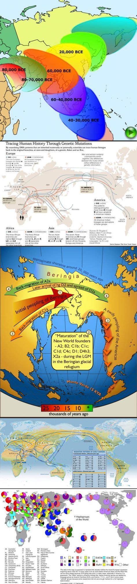 Fantastic Visual Representations of Global Human Migration Patterns ...