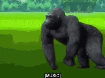 Harambe Memes GIF - Harambe Memes Too - Discover & Share GIFs