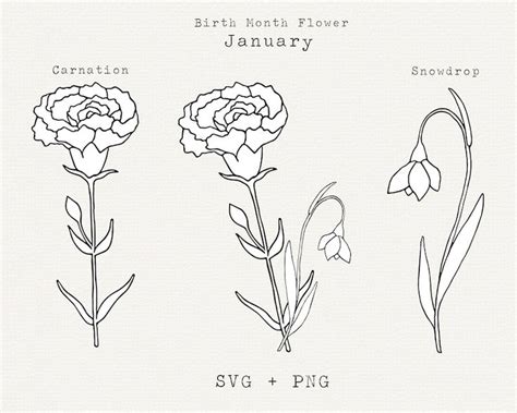 Birth Flowers For January