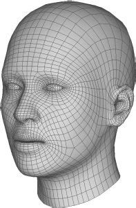 3D face tracking and 3D face avatars – ViSiR