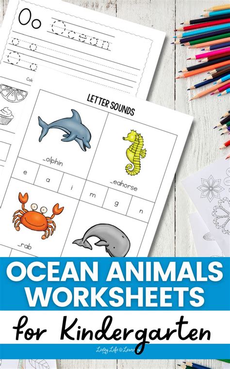 Ocean Animals Worksheets for Kindergarten