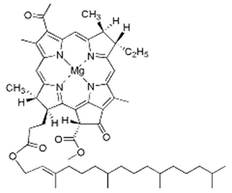 Bacteriochlorophyll a