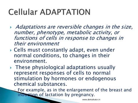 Cellular adaptation