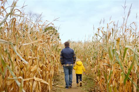 The Best Haunted Houses and Corn Mazes in the West