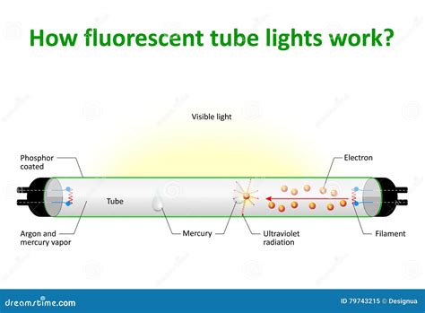 Low Watt Tube Amplifier. Cartoon Vector | CartoonDealer.com #59732217