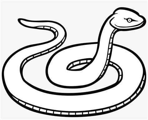 Free Clipart Of A Snake - Snake Clipart Black And White - 4000x3054 PNG ...