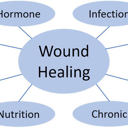 Factors affecting wound healing. | Download Scientific Diagram