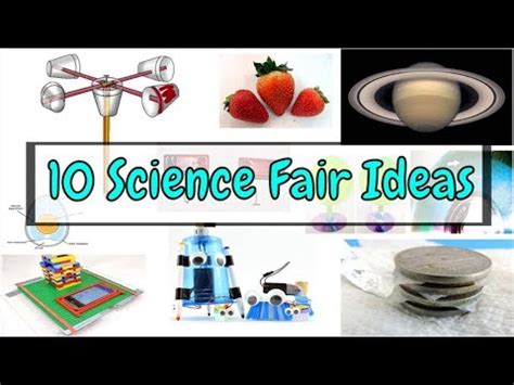 10 Easy Science Fair Project Ideas for K - 6 Grade Students | Science ...